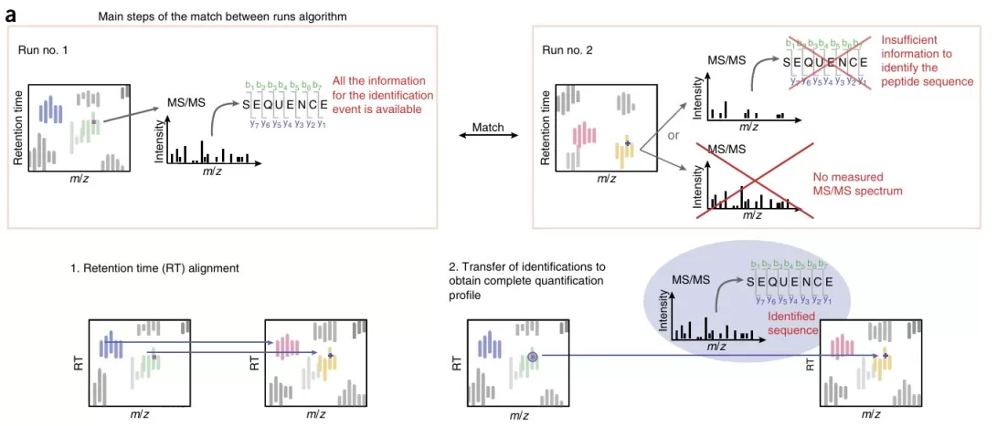 Match between runs algorithm showing cross-run peptide feature identification transfer